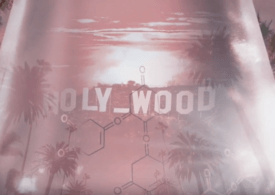 Nomenclature holy_wood: новый Голливуд